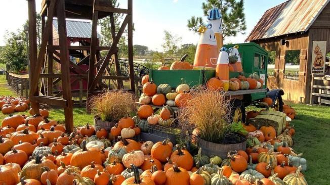 Halloween en Texas