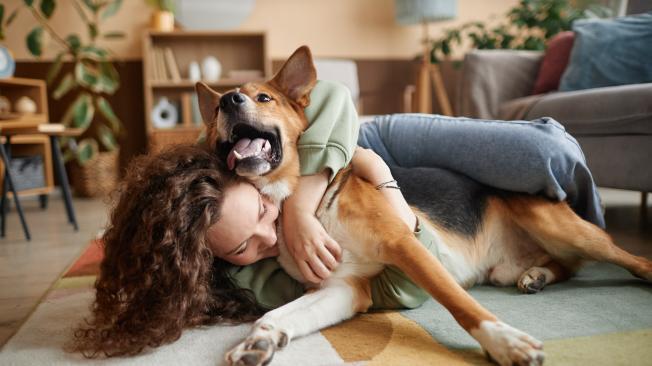 En españa hay más perros que personas.