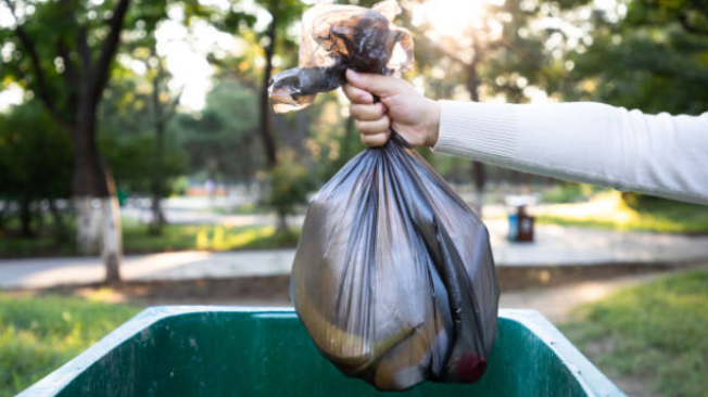 Imagen de referencia a buscar en la basura.