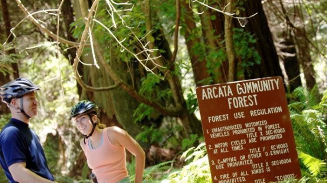 El bosque comunitario de Arcata es un lugar ideal para entrar en contacto con la naturaleza.