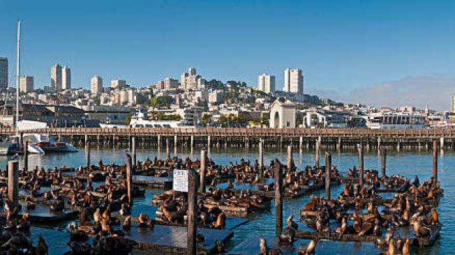 Fisherman’s Wharf, ubicado en California