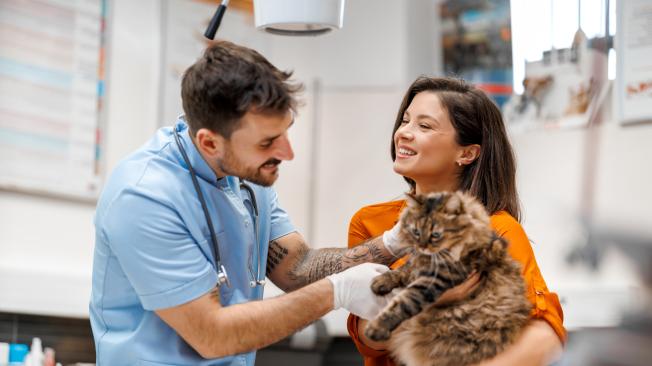 Trabajo para veterinarios