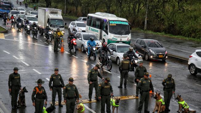 Los caninos reforzarán la seguridad en la COP16