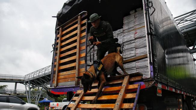 Los caninos reforzarán la seguridad en la COP16