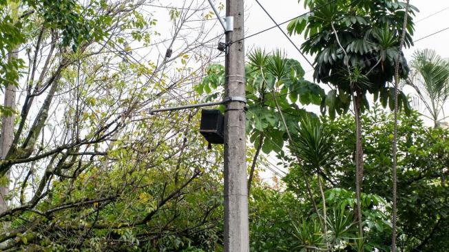 Portanúcleos instalados en árboles y postes de Medellín