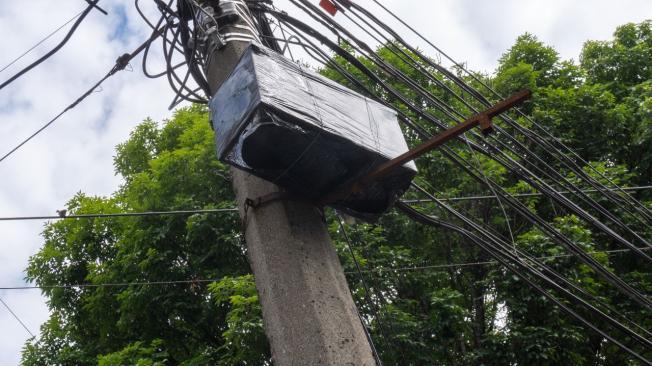 Portanúcleos instalados en árboles y postes de Medellín