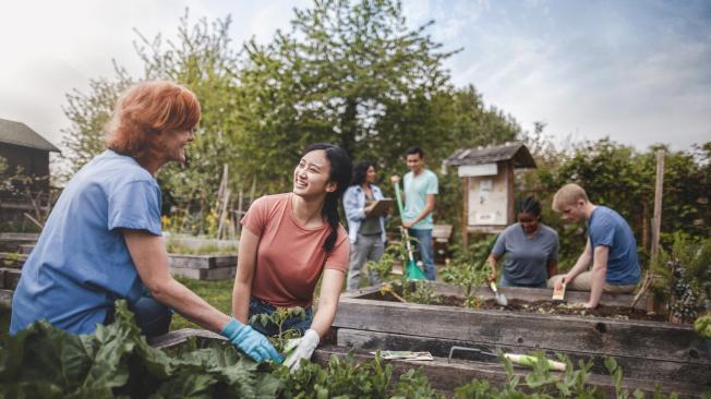 La jardinería la puede realziar cualquier persona.