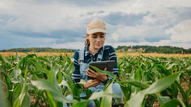 Los jóvenes y las mujeres rurales desempeñan un papel vital y protagónico en la incorporación de las tecnologías digitales a la agricultura familiar, mostró un nuevo estudio realizado por el Instituto Interamericano de Cooperación para la Agricultura (IICA).