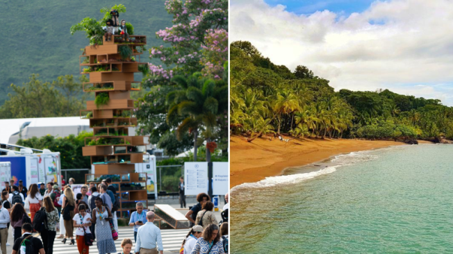 Zona Azul COP16 - Biodiversidad del caribe colombiano