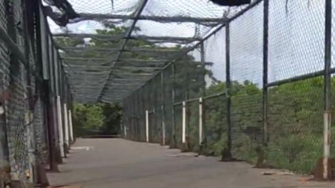 Estado del puente peatonal de la calle 30.