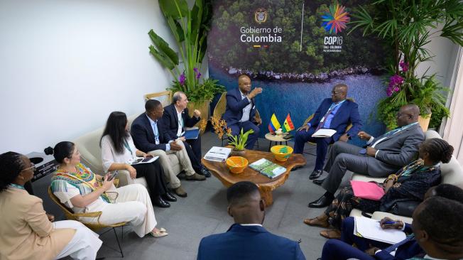 Reunión bilateral entre Colombia y Ghana en la COP16.