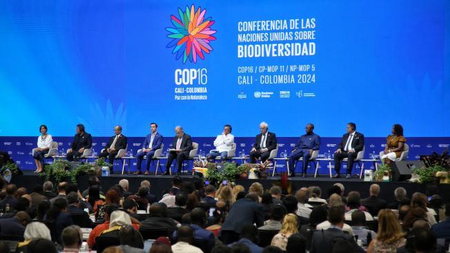 Plenaria de la COP16, donde se presentó la coalición Paz con la Naturaleza.