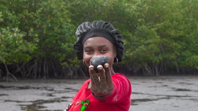 Mujeres concheras en los manglares de Tumaco