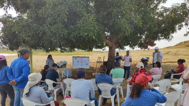 El plan empezó con un vivero en Caucasia para sembrar guarumo y piñón.