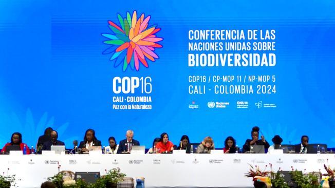 Negociaciones de la COP16.