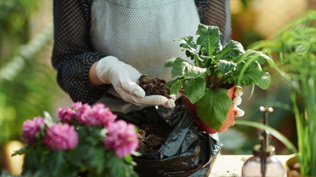 Debe usar los fertilizante con precaución