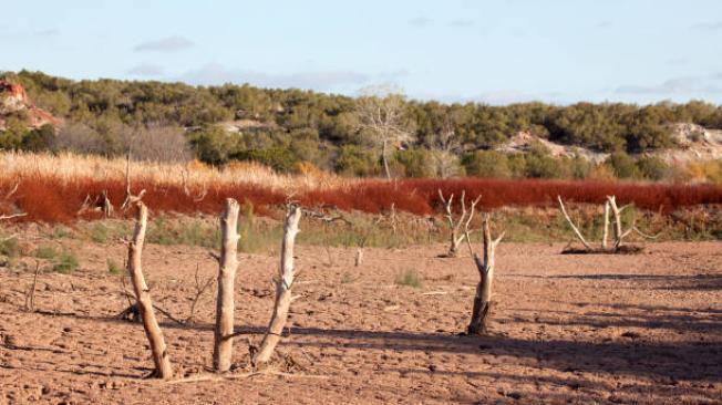 La sequía en el sur de Texas es un problema para atender