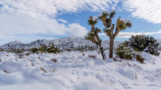 Hay muchos lugares en California para disfrutar de la nieve