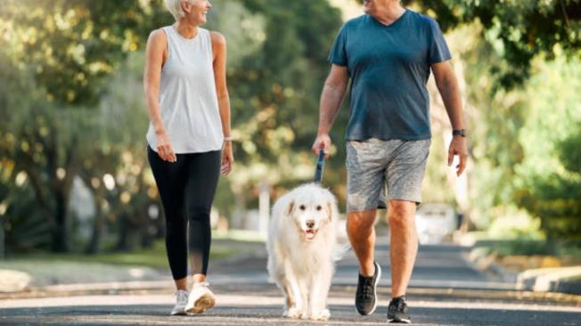 Pasear al perro es saludable para la mascota.