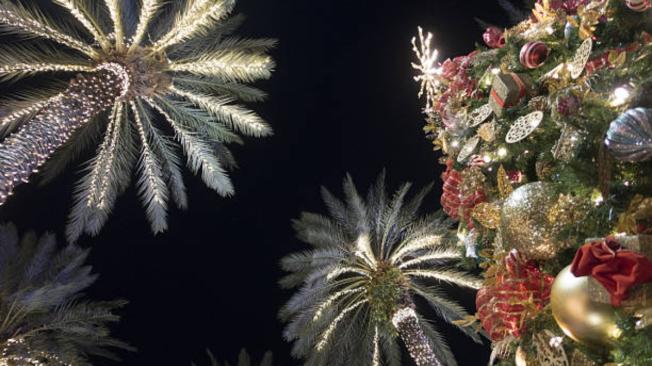 Decoraciones de árboles de Navidad en Miami.