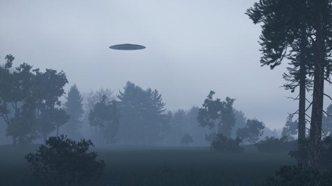 Ufo over trees