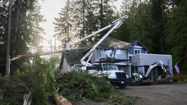 Un equipo de trabajo retira un árbol que había caído sobre una casa el 20 de noviembre de 2024.