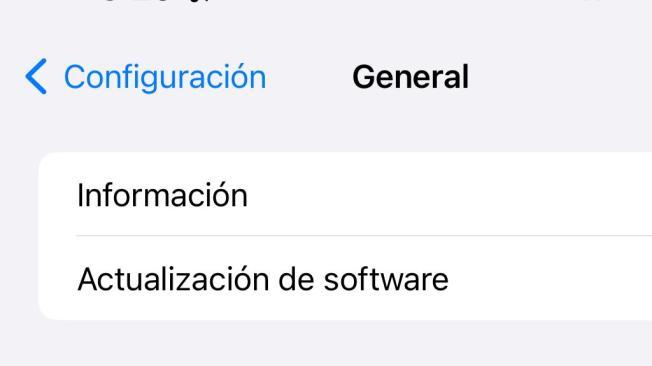 Los usuarios pueden actualizar su dispositivo a iOS 9 o posteriores desde Ajustes.