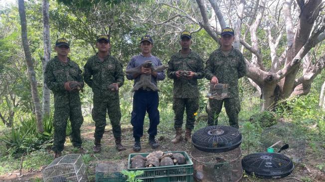 Fauna rescatada en Bolívar y Sucre