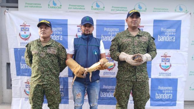 Fauna rescatada en Bolívar y Sucre