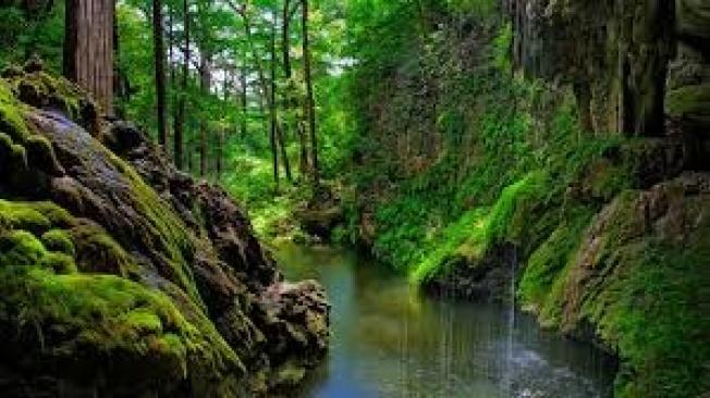 Las hermosas vistas de West Cave