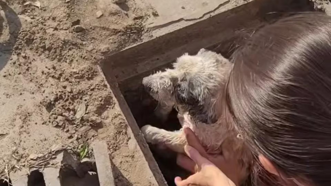 Rescate de Lázaro.