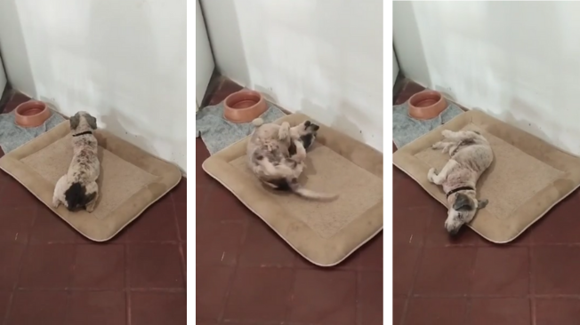 Lázaro jugando luego de ser rescatado.