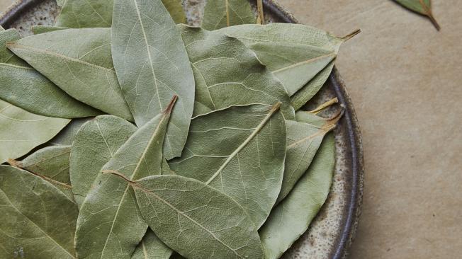 El laurel es un símbolo de protección.