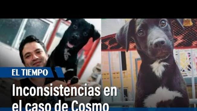 La familia señala fallos y exige respuestas a Protección Animal sobre las irregularidades en este procedimiento.