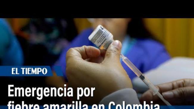 Colombia declara emergencia sanitaria por un grave brote de fiebre amarilla. El Ministerio de Salud activa la alerta hospitalaria en todo el país ante el aumento de contagios. Conozca los síntomas, medidas adoptadas y zonas más afectadas. ¿Habrá restricciones?.