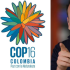 La cumbre COP16 de biodiversidad será en Cali.