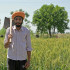 Gurpartap Singh, un agricultor que votará por primera vez en las próximas elecciones generales de la India, posa frente a su campo de trigo en la aldea de Chabba, en las afueras de Amritsar.