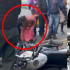 Mujer prueba sangre de motociclistas muertos en Santander