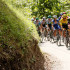 El equipo Jumbo-Visma y el equipo Ineos de Colombia compiten durante la etapa 20 del Tour de France.