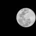 Y Bogotá, sin duda alguna, también tuvo su momento de espectáculo. La superluna apareció en Colombia, aproximadamente, después de las 9 p. m. Para lo que resta de 2020 se calcula que habrá cuatro superlunas más, algunas no tan visibles como la de la noche de este martes, la próxima será el 7 de mayo. También tendrá lugar un fenómeno celestial denominado ‘luna azul’ en octubre, mes en el que se podrán observar dos lunas llenas.