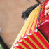 El festival elige cada año al mejor intérprete del acordeón vallenato.