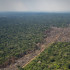 En 2021 fueron deforestadas 170.000 hectáreas en Colombia. Así se ven algunas zonas en Chiribiquete.