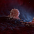 La terapia celular está diseñada para eliminar tumores y prevenir la reaparición del cáncer
