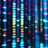 BBC Mundo: secuenciación de genoma