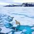 El hielo marino en el Océano Ártico ha estado disminuyendo debido al calentamiento global.