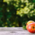 El consumo excesivo de vinagre de manzana puede causar heridas en el esófago.