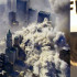 Perros rescatistas del atentado a las torres gemelas en el 11 de septiembre