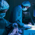 Los equipos médicos tienen unas cuantas horas para poder realizar un trasplante efectivo.