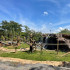 Nuevo hábitat de los lémures en Bioparque Ukumarí