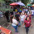 En el centro de Medellín el comercio informal espera que sea un buen mes para aumentar sus ventas, luces navideñas, árboles de navidad, ropa y demás es lo que más se ve en las calles.